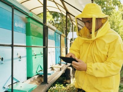 vitaly-gariev-Iq39gOabjQQ-unsplash